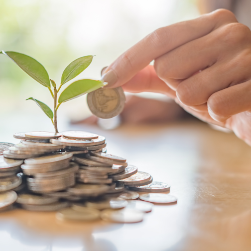 Empathy Financial Wellness Planing